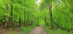 Kreuzelberg_25.04.22.jpg